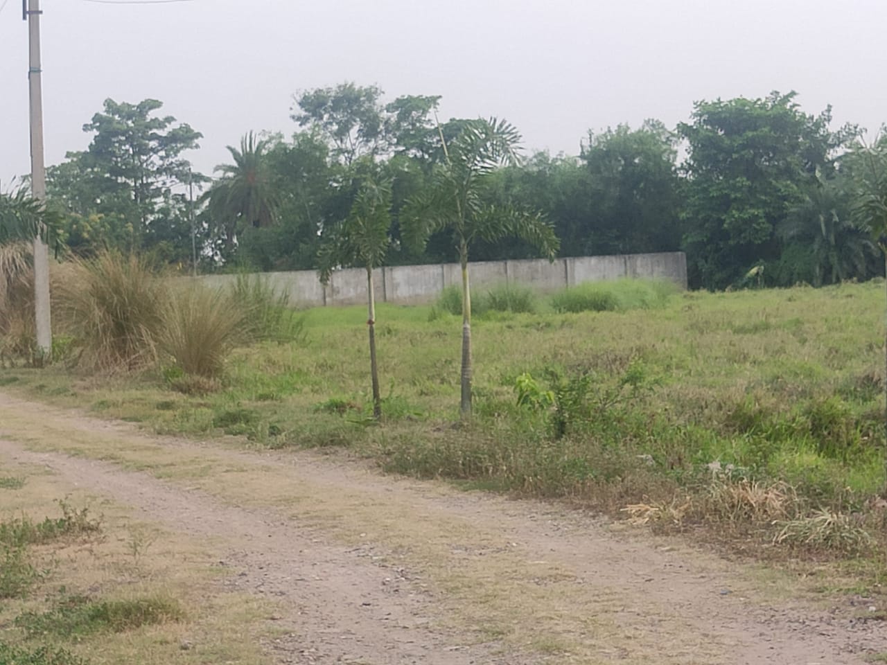 Plot For Sale in Green Plaza 