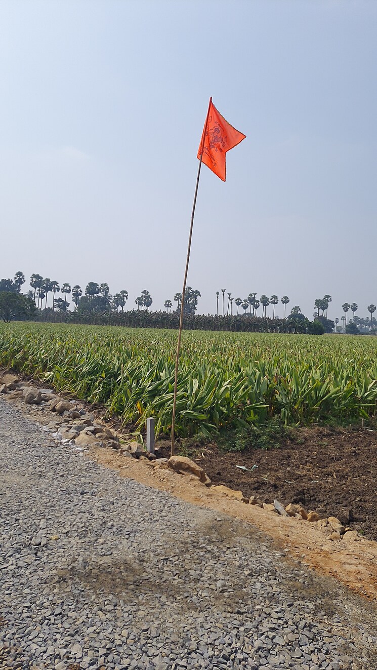 Exterior View, penamaluru  184 Sq.Yd. Plot In Penamaluru Vijayawada 8098611