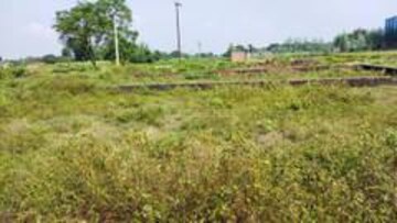  Plot For Sale in Sikandrabad