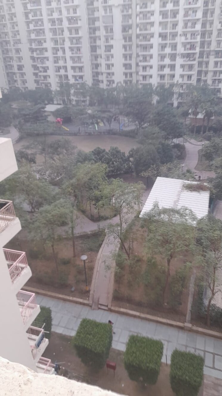 Garden, aims-golf-city 3.5 Bedroom 1550 Sq.Ft. Apartment In Sector 75 Noida 8098985