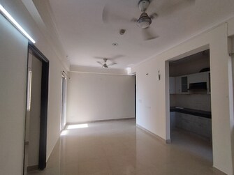 2 BHK Apartment For Rent in JM Florence Tech Zone 4 Greater Noida Greater Noida  8099145