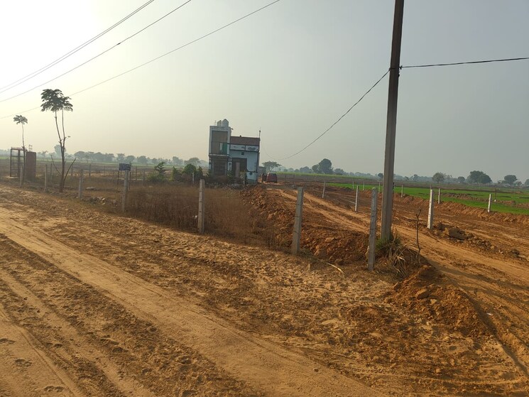 undefined, yamuna expressway  74 Sq.Yd. Plot In Yamuna Expressway Greater Noida 8099403