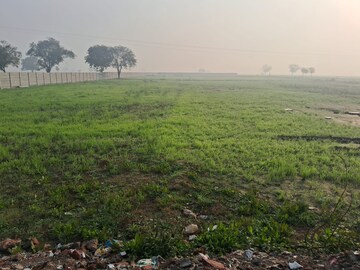 Plot Area in  Plot at Mankrola – for Sale