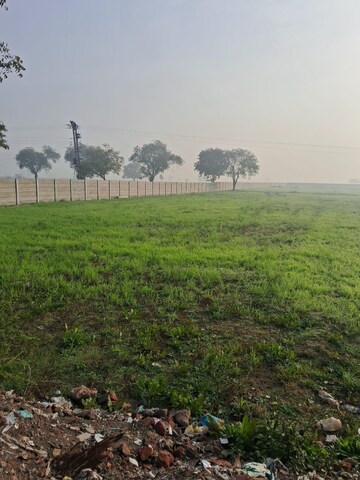 Plot Area in  Plot at Mankrola – for Sale