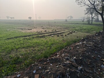 Plot Area in  Plot at Mankrola – for Sale