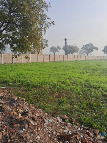 Plot Area in  Plot at Mankrola – for Sale
