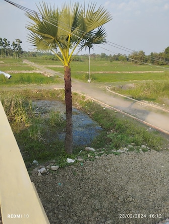 Plot For Resale in Gobra Kolkata  8099619