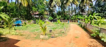 Plot Area in  Plot at Cheroor – for Sale