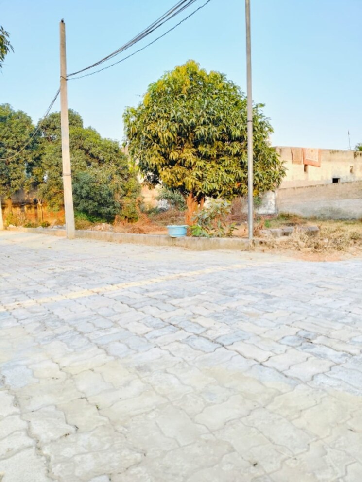 Garden, rsa-paradise-dream-city  100 Sq.Yd. Plot In Tilapta Greater Noida 8099752
