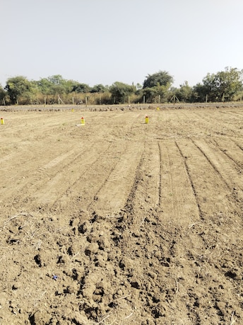 Plot For Resale in Jamtha Nagpur  8099841