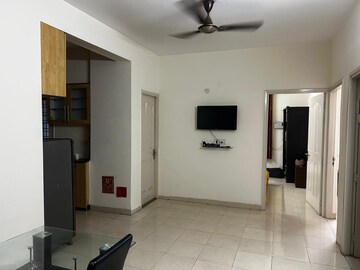 Room in 3 BHK Apartment at Tulip Orange, Sector 70 – for Rent