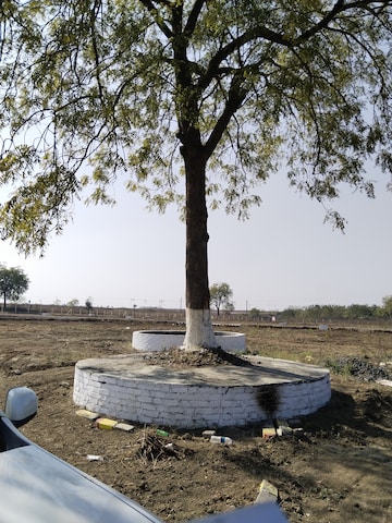 Plot For Resale in Jamtha Nagpur  8100015