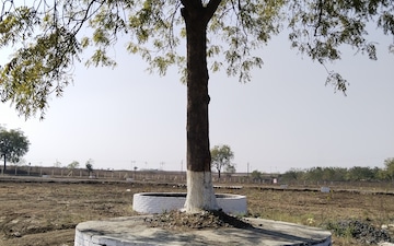 Plot For Sale in Jamtha