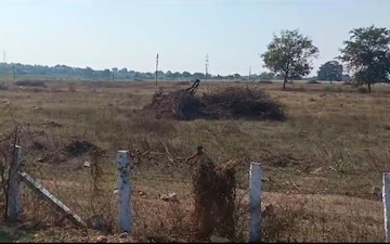 Plot For Sale in Mangalpalle