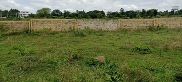 Plot For Resale in Ekta Greens Hosur Road Bangalore  8100087