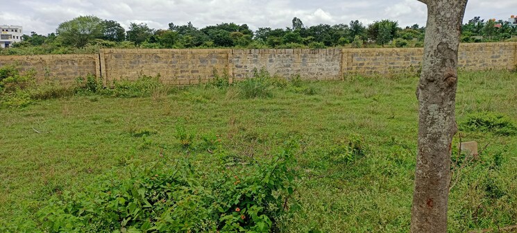 undefined, ekta-greens  1425 Sq.Yd. Plot In Hosur Road Bangalore 8100108