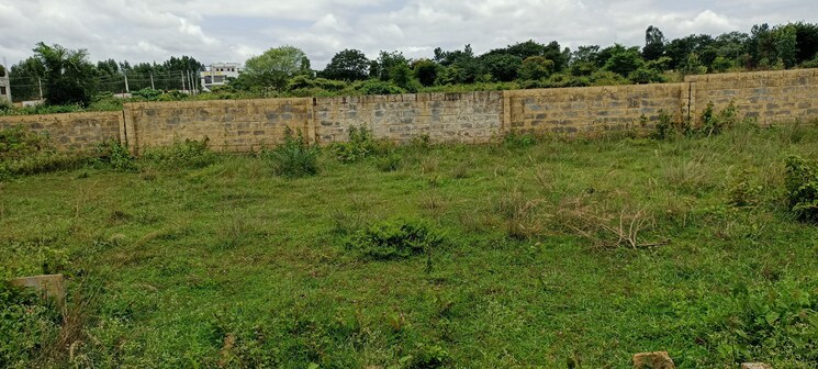 undefined, ekta-greens  1425 Sq.Yd. Plot In Hosur Road Bangalore 8100108