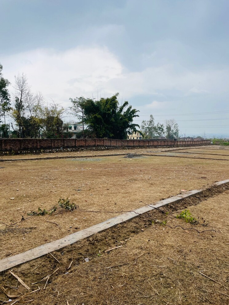 undefined, mehuwala mafi  204 Sq.Yd. Plot In Mehuwala Mafi Dehradun 8100247