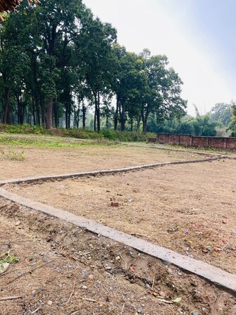 Plot For Resale in Mehuwala Mafi Dehradun  8100247