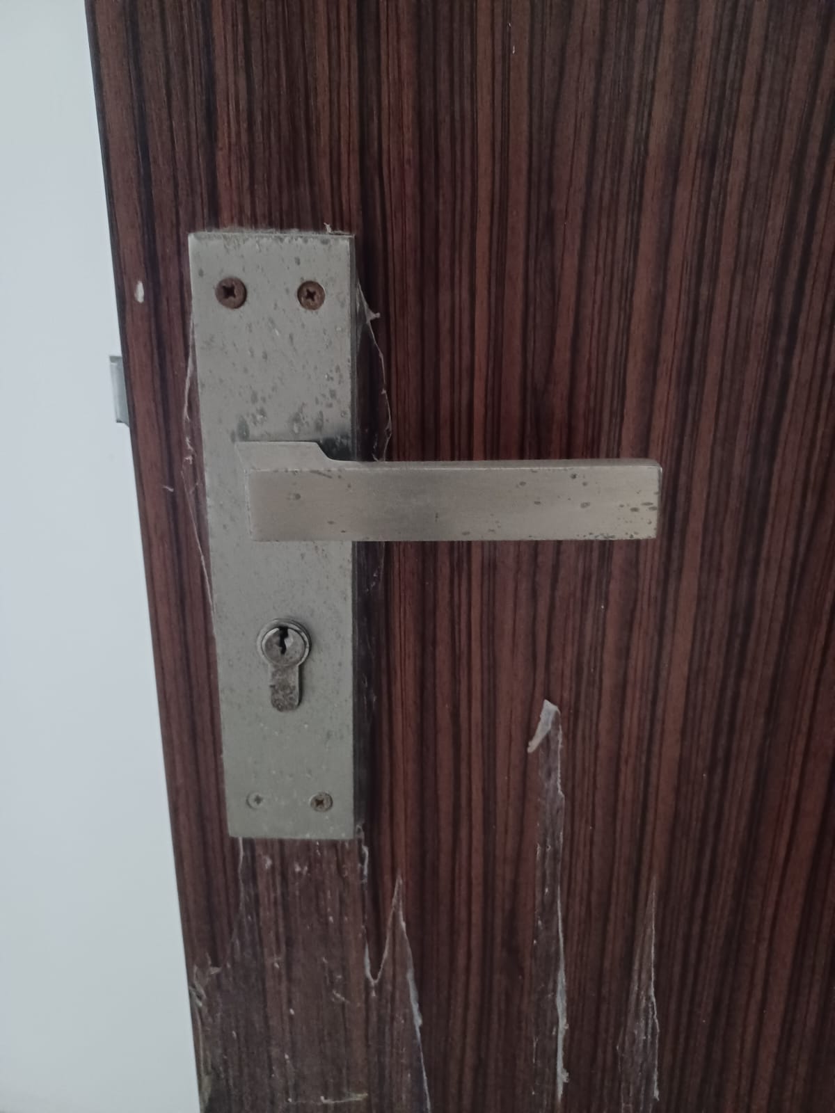 4 BHK + Pooja Room,Servant Room,Study Room Apartment For Sale in M3M Altitude