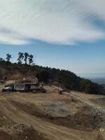 501 Sq.Yd. Plot in Bhogpur Green 