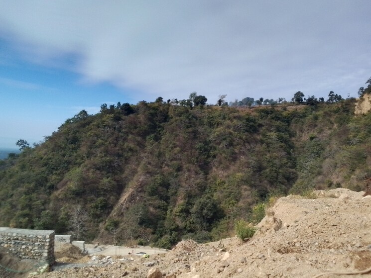 undefined, raipur road  501 Sq.Yd. Plot In Raipur Road Dehradun 8100460