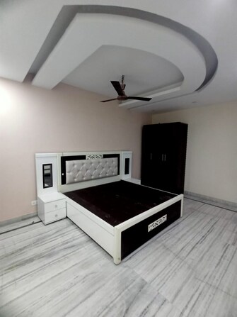 4 BHK Independent House For Rent in RWA Apartments Sector 50 Sector 50 Noida  8100709