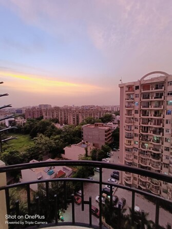 2 BHK Apartment For Rent in Maple Crescent Sector 43 Gurgaon  8100734