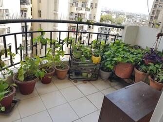 2 BHK Apartment For Rent in Maple Crescent Sector 43 Gurgaon  8100734