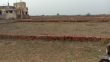 Plot For Resale in Sikandrabad Bulandshahr  8100996