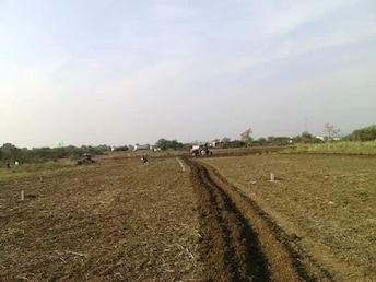 Plot For Resale in Sikandrabad Bulandshahr  8101062