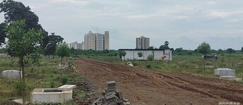 Plot For Resale in Waranga Nagpur  8101177