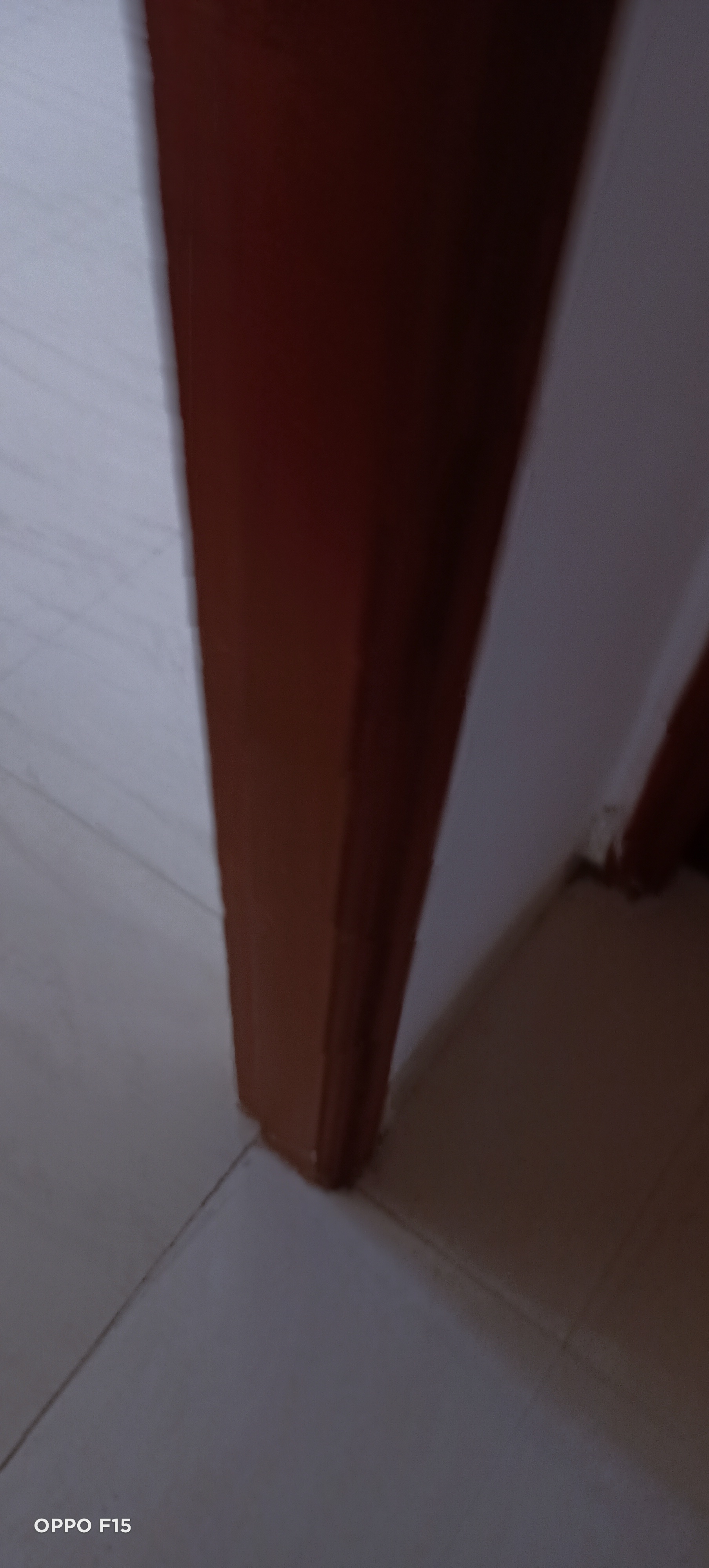 3 BHK Apartment For Sale in ATS Dolce