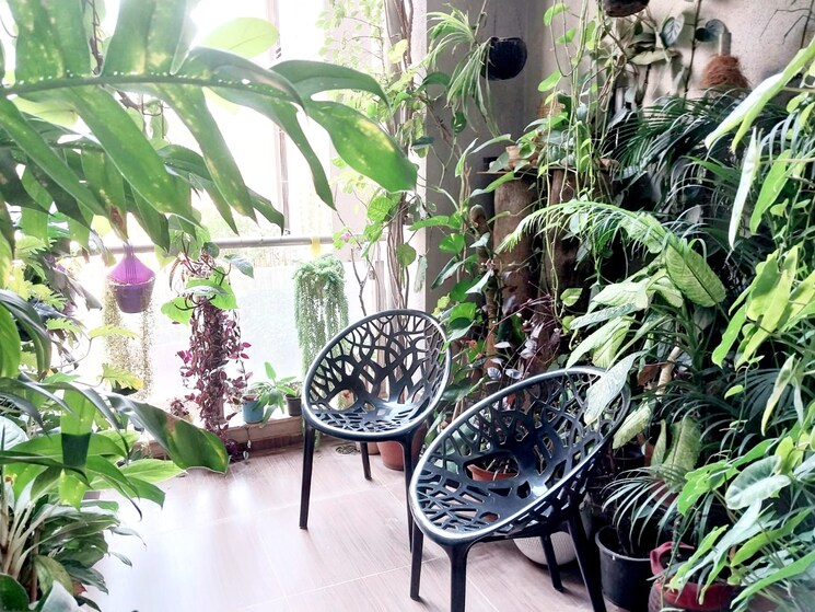 Exterior View, sai-innovision-7-avenues 3 Bedroom 1264 Sq.Ft. Apartment In Balewadi Pune 8101653