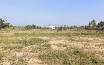 Land For Sale in Sikar Road