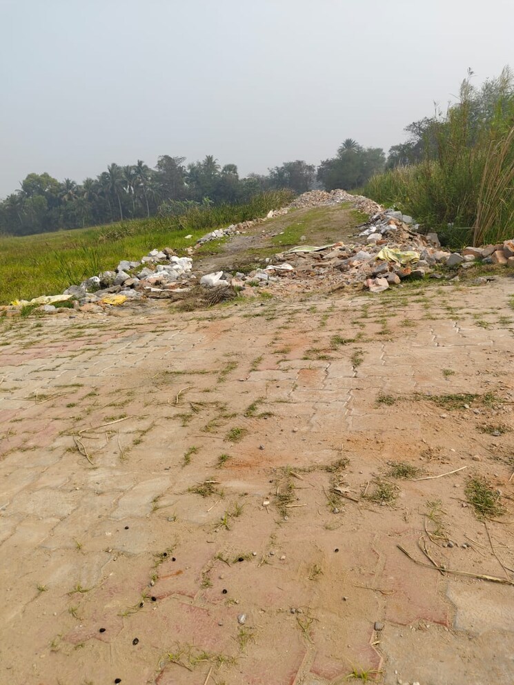 undefined, khidirpur  2160 Sq.Ft. Plot In Khidirpur Kolkata 8101743