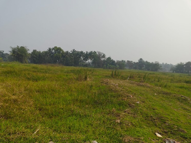 undefined, khidirpur  2160 Sq.Ft. Plot In Khidirpur Kolkata 8101743