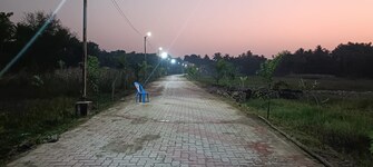 Plot For Resale in Mominpur Kolkata  8101757