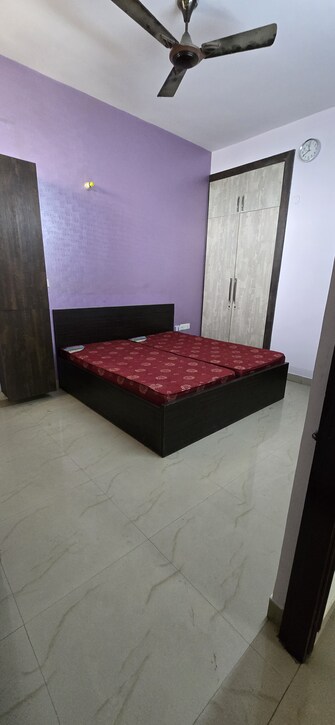 3 BHK Apartment For Rent in SRS Residency Sector 88 Faridabad  8101792