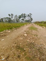 1440 Sq.Ft. Plot in Nest Valley 