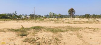 Commercial Land 13759 Sq.Ft. For Resale in Vasad Anand  8101809