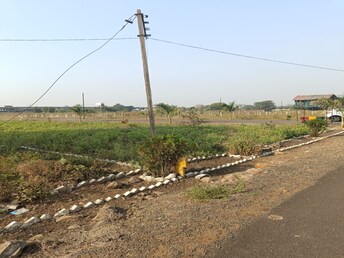 Plot For Resale in Borkhedi Nagpur  8101884