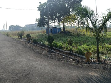  Plot – Exterior View View at Borkhedi - for Sale