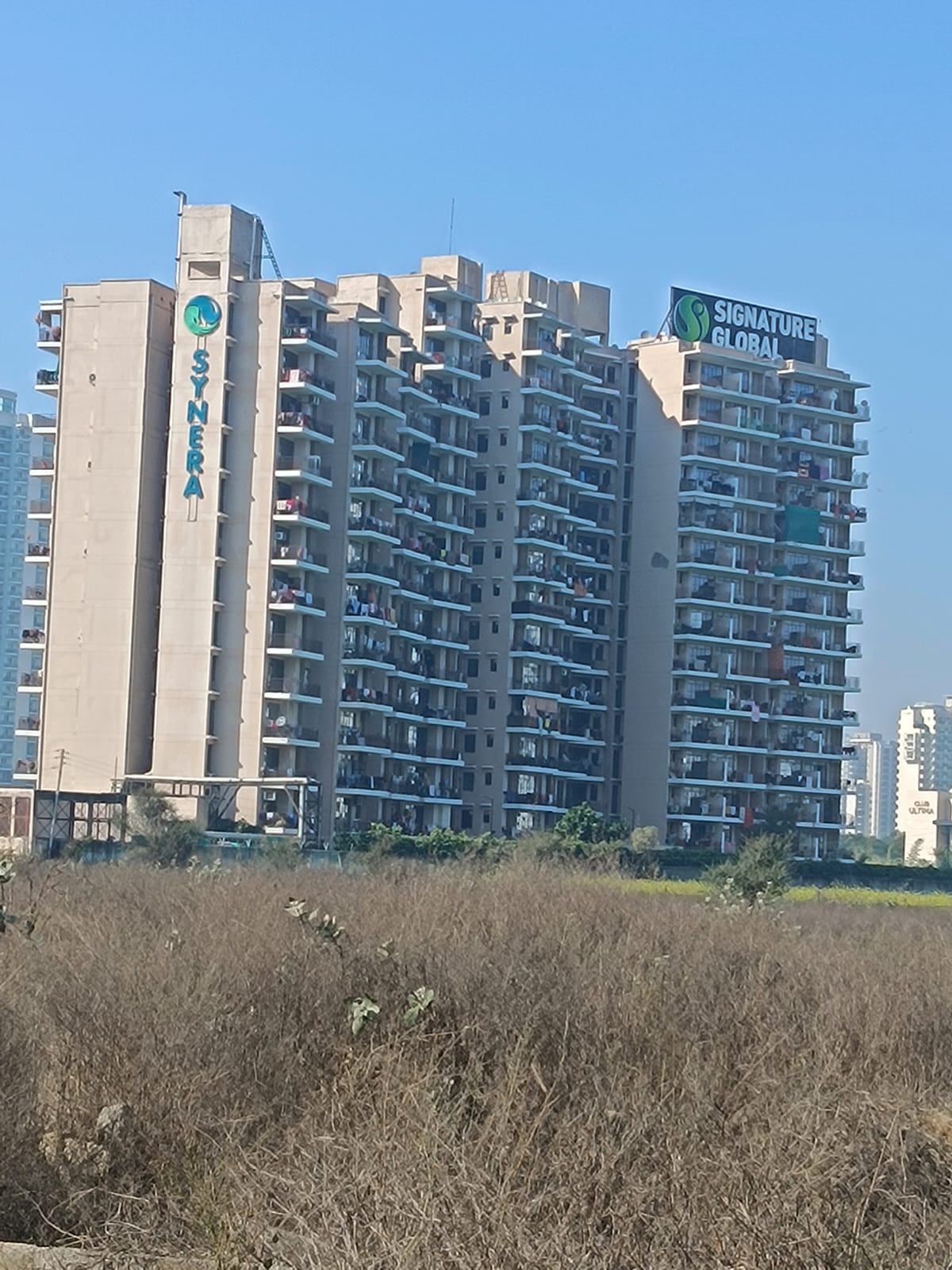 3 BHK + Pooja Room Apartment For Sale in Signature Global Synera