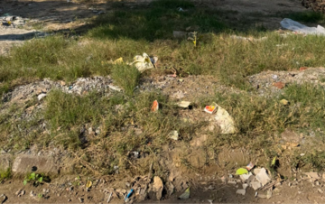  Plot For Sale in Sector 85