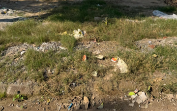 Plot For Sale in Sector 85