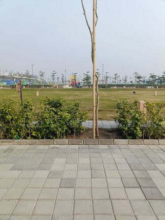 Plot For Resale in Tdi City Panipat  8102292