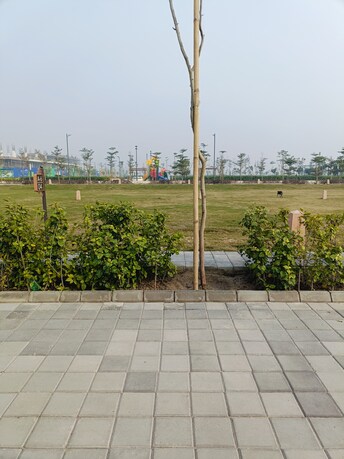 Plot For Resale in Tdi City Panipat  8102292