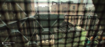 Master Bedroom in 2.5 BHK Apartment at Gaur City 2 - 16th Avenue, Sector 16c Greater Noida – for Sale