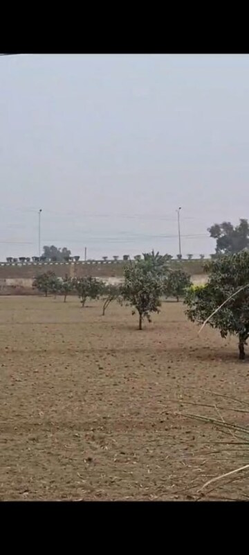 Plot Area in  Land at Sikandrabad – for Sale